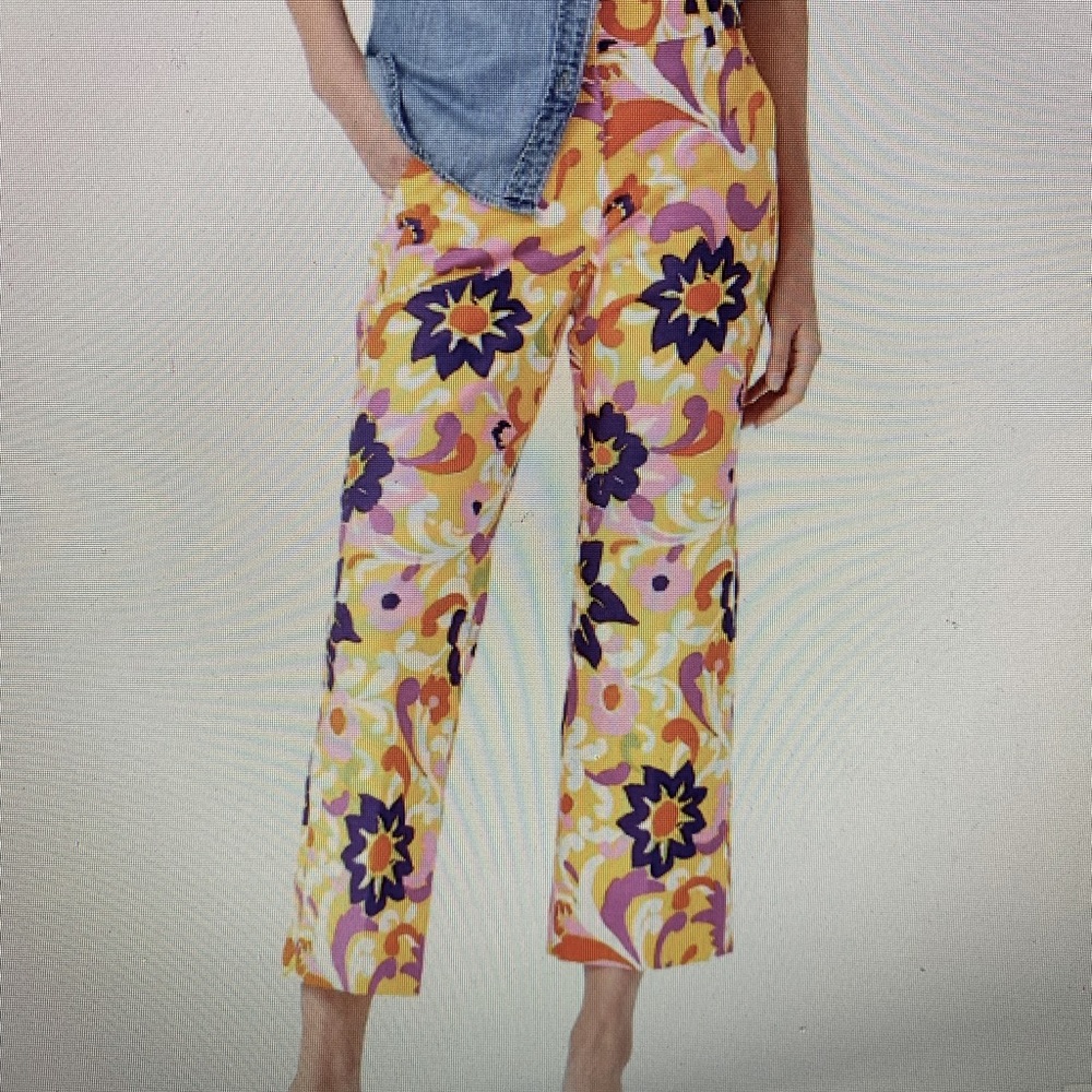J Crew Pants